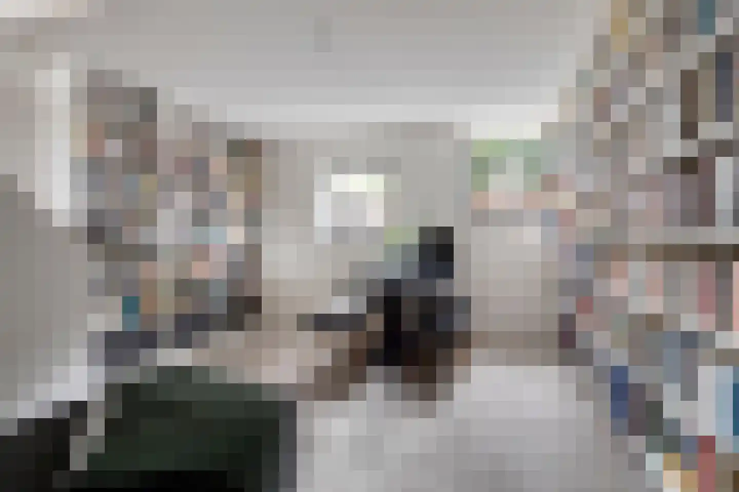 Rietgras 5 Montfoort thumbnail 22