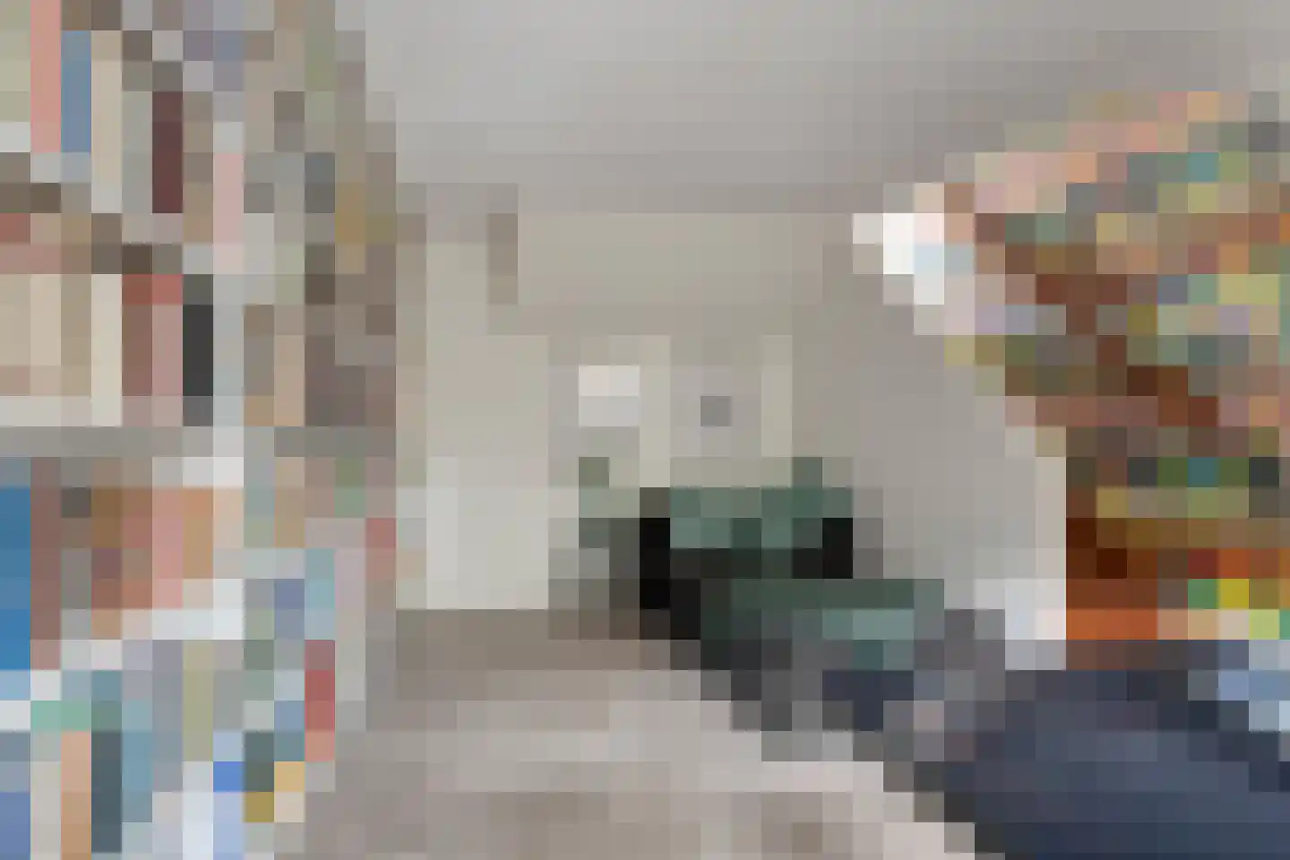 Rietgras 5 Montfoort thumbnail 23