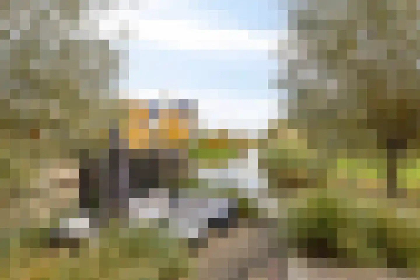 Rietgras 5 Montfoort thumbnail 27