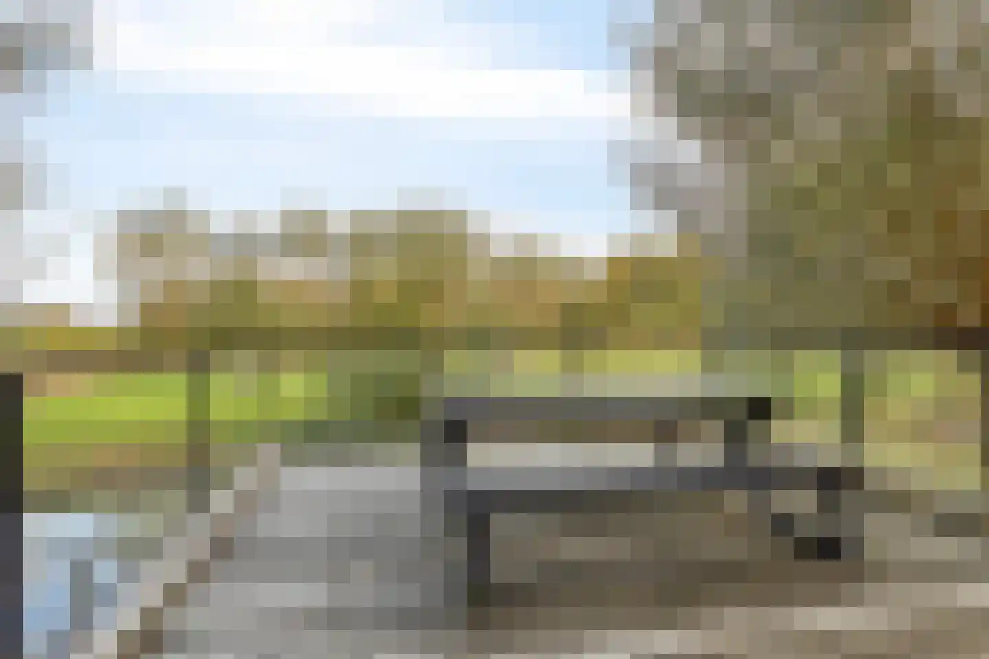 Rietgras 5 Montfoort thumbnail 29