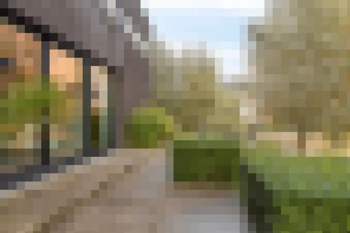 Rietgras 5 Montfoort thumbnail 30