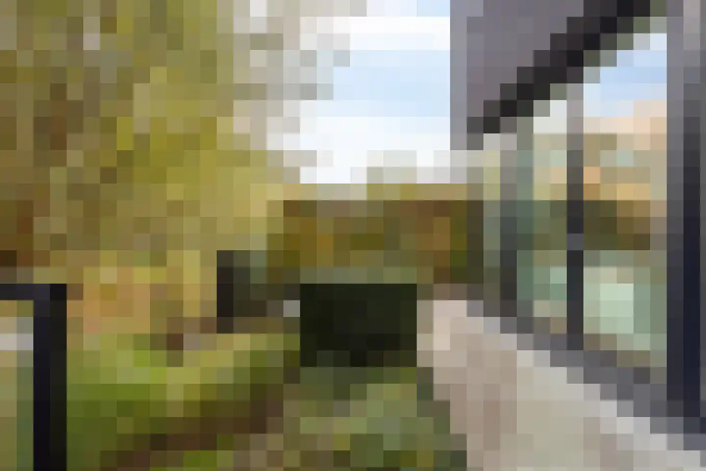 Rietgras 5 Montfoort thumbnail 31
