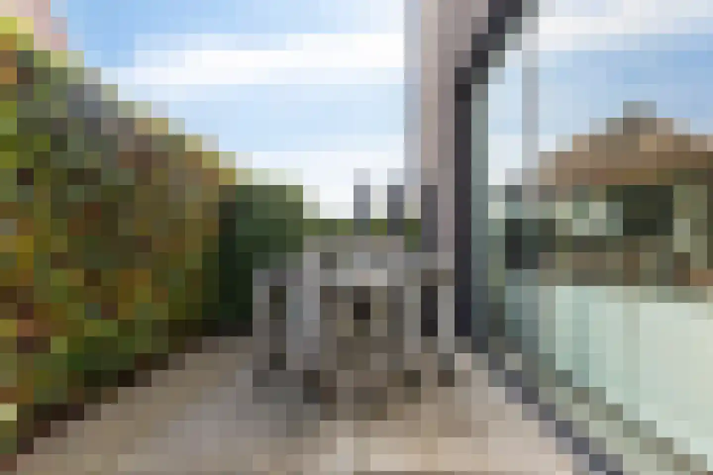 Rietgras 5 Montfoort thumbnail 32