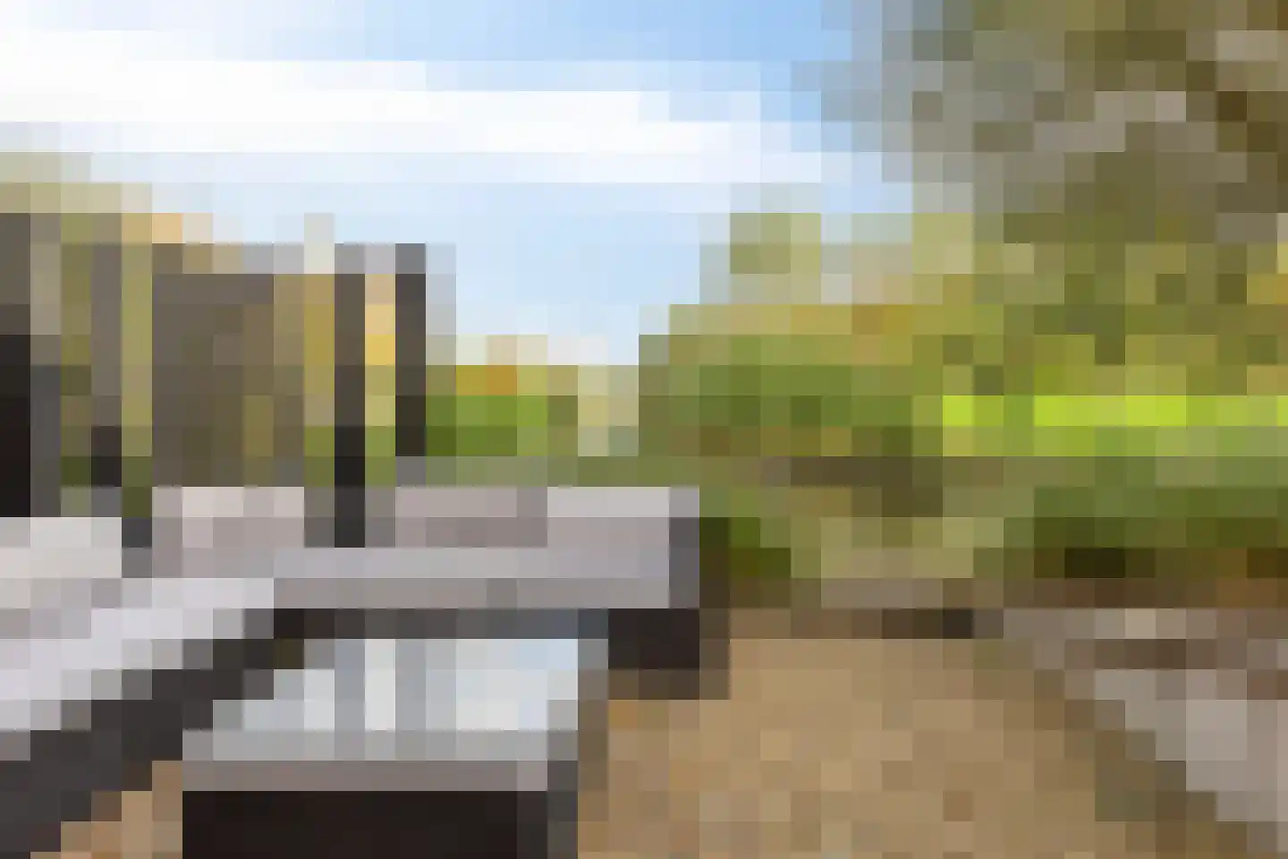 Rietgras 5 Montfoort thumbnail 35