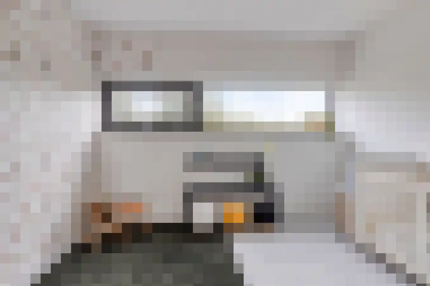 Rietgras 5 Montfoort thumbnail 39
