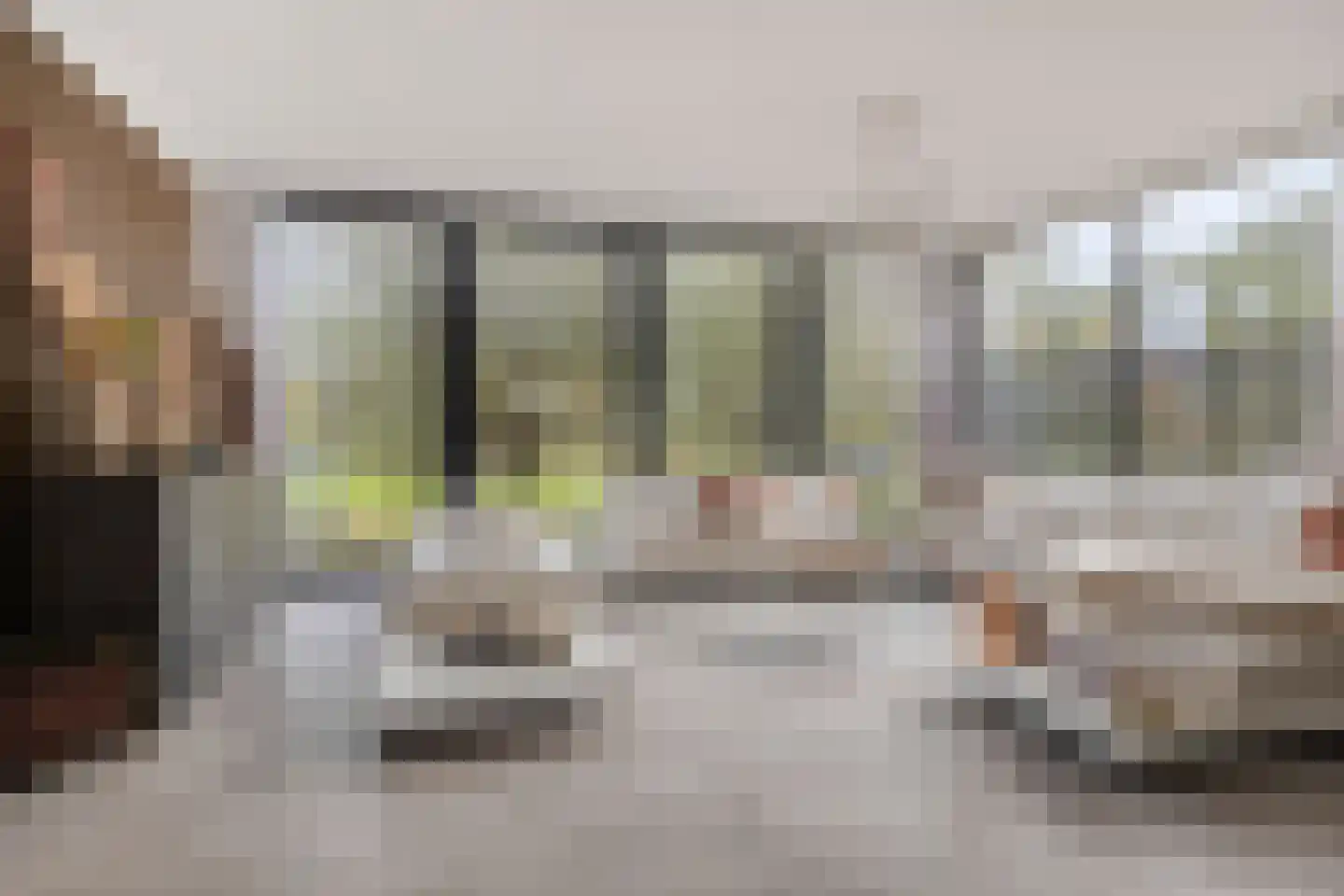 Rietgras 5 Montfoort thumbnail 4