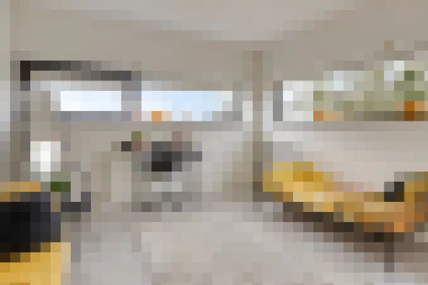 Rietgras 5 Montfoort thumbnail 41