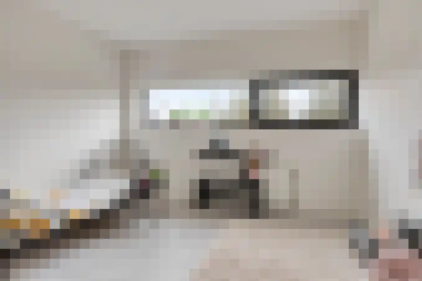 Rietgras 5 Montfoort thumbnail 43