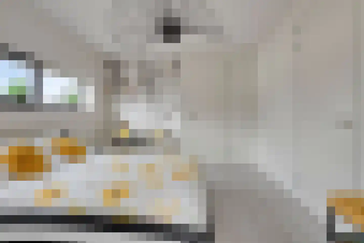 Rietgras 5 Montfoort thumbnail 46