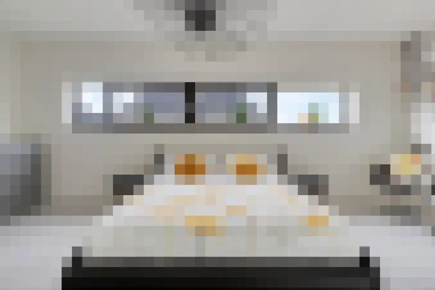 Rietgras 5 Montfoort thumbnail 47