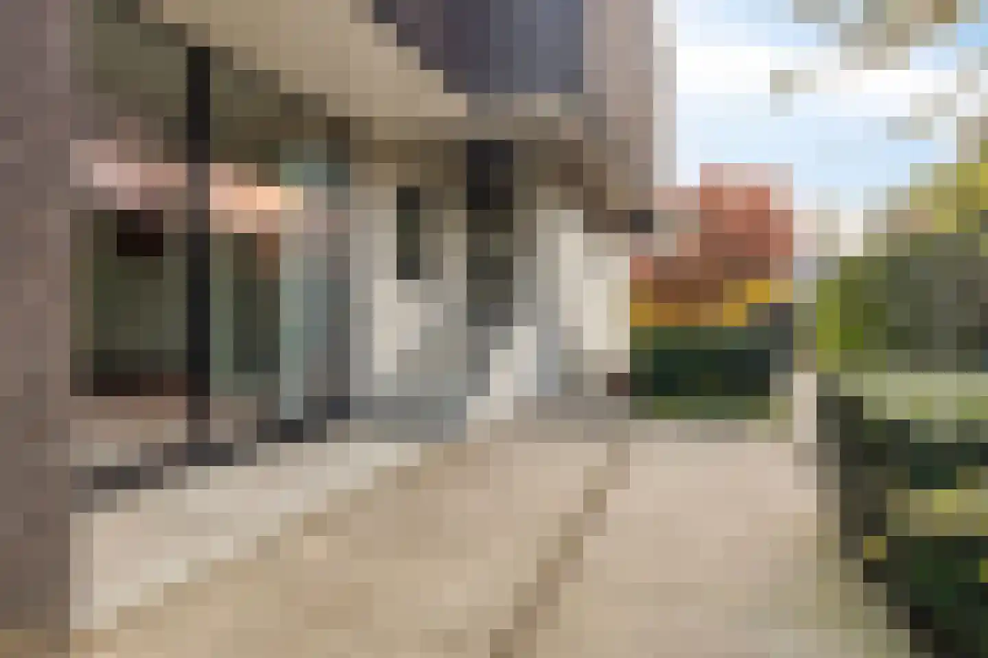 Rietgras 5 Montfoort thumbnail 5