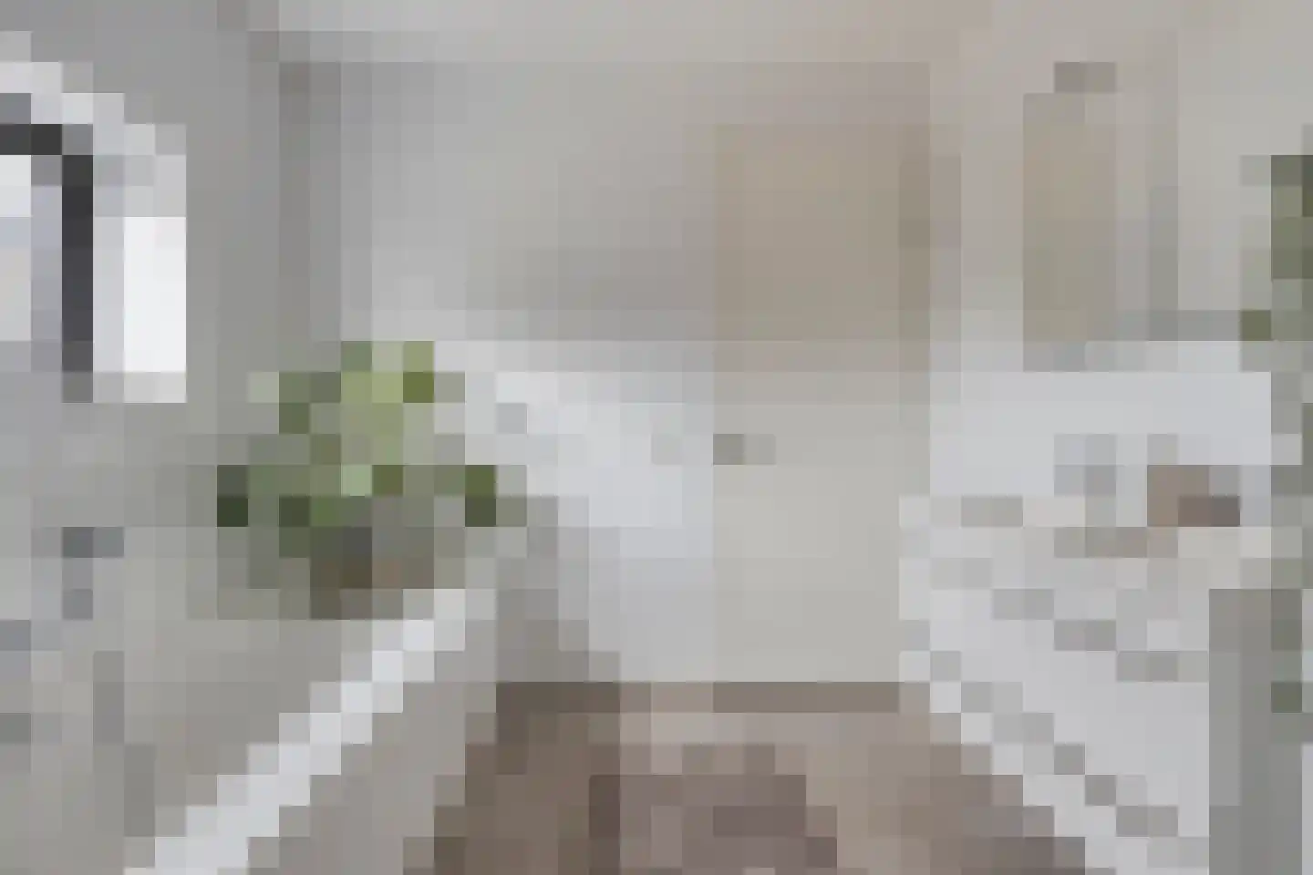 Rietgras 5 Montfoort thumbnail 50