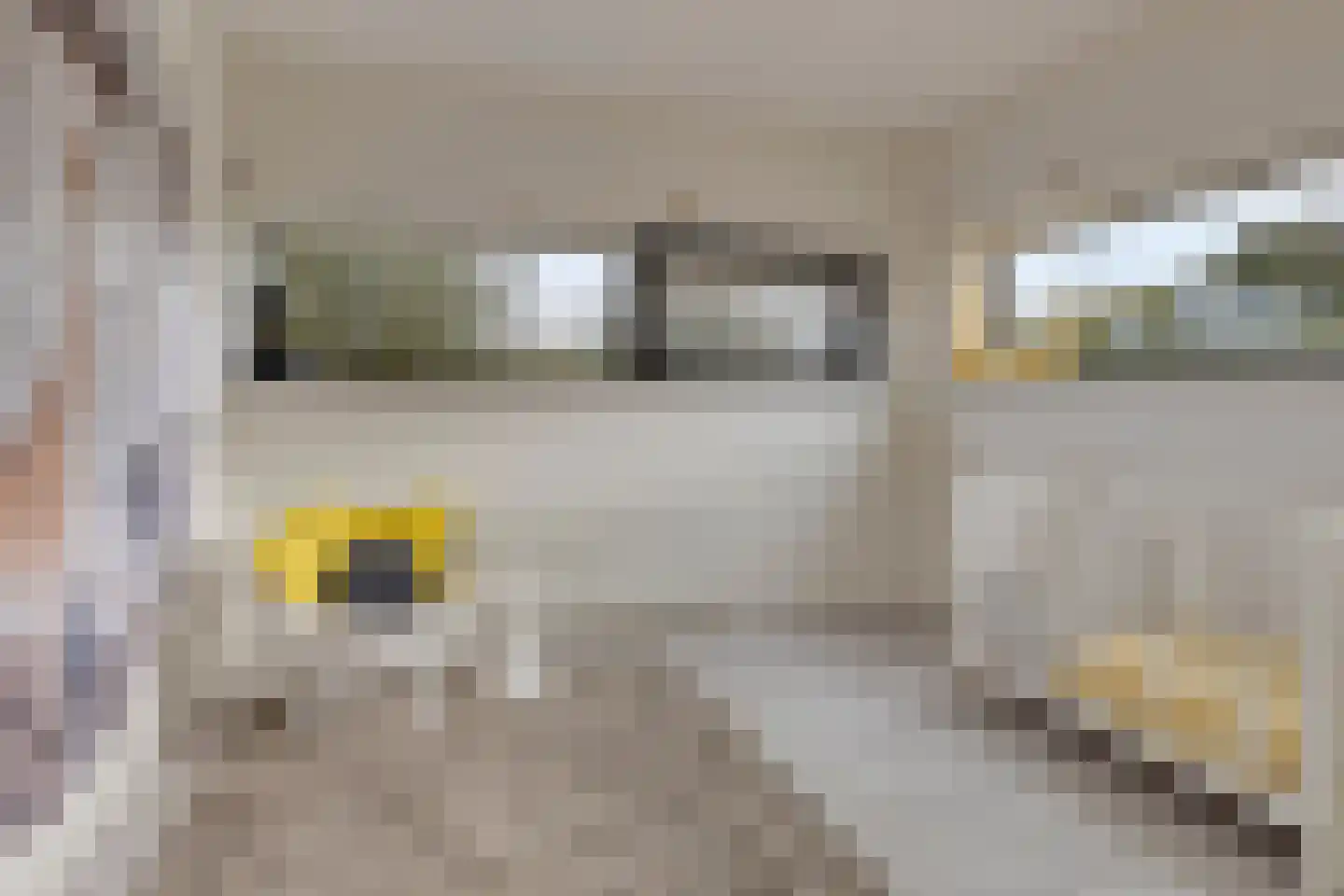 Rietgras 5 Montfoort thumbnail 51