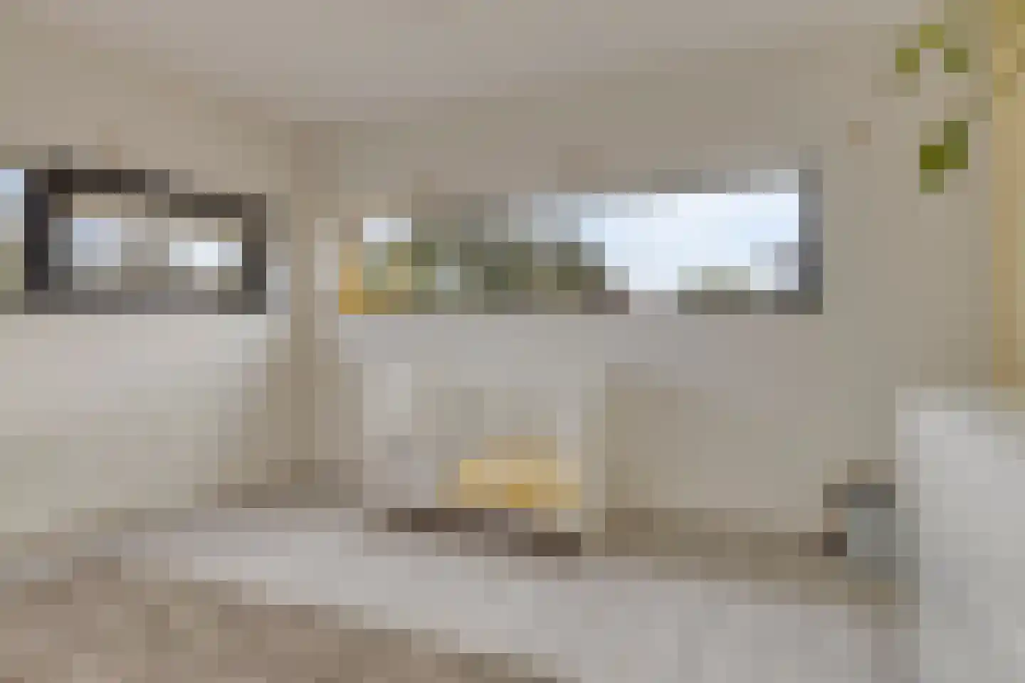 Rietgras 5 Montfoort thumbnail 52