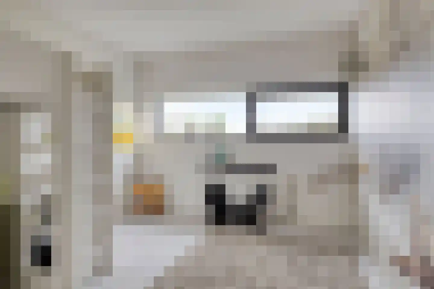 Rietgras 5 Montfoort thumbnail 53
