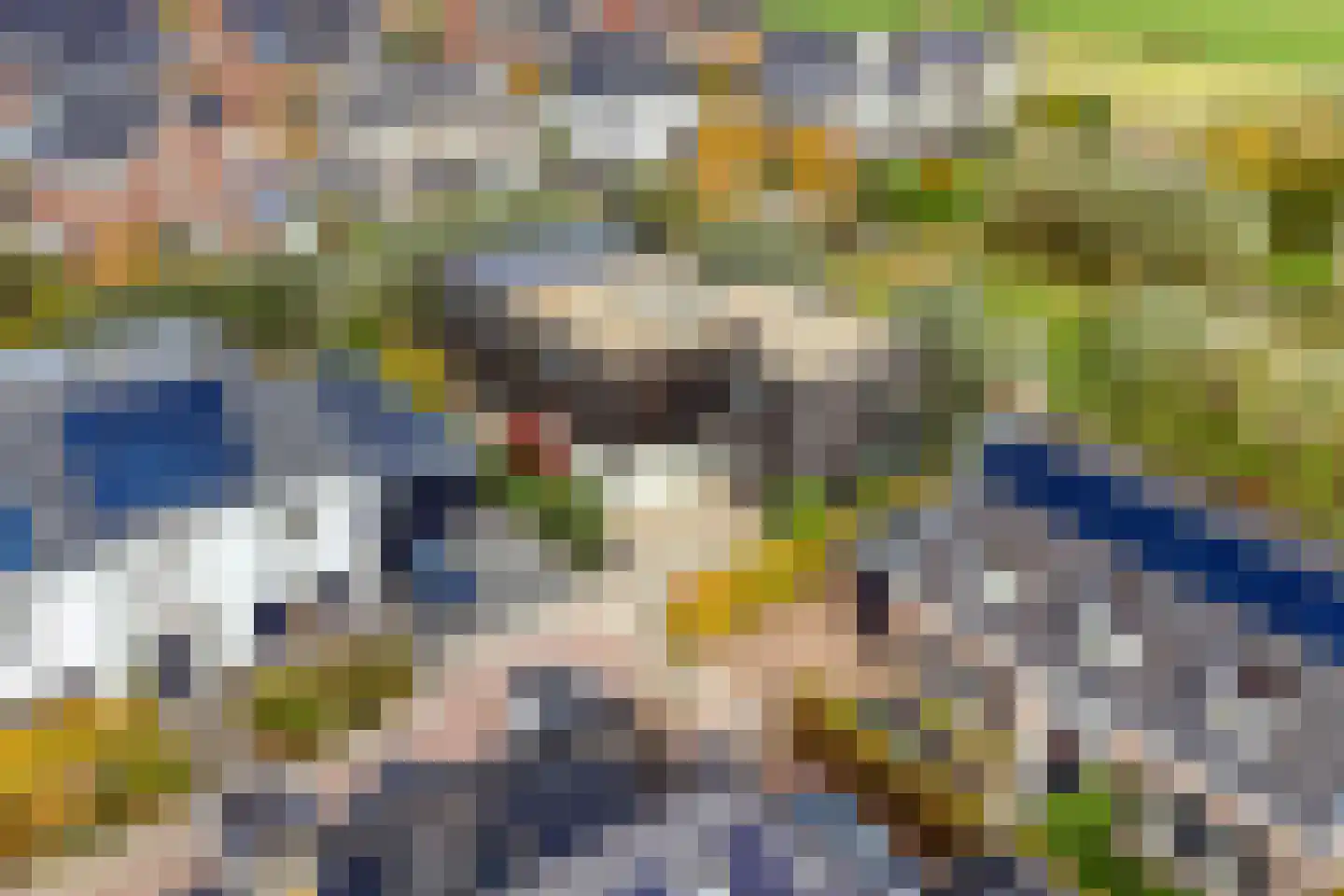 Rietgras 5 Montfoort thumbnail 55