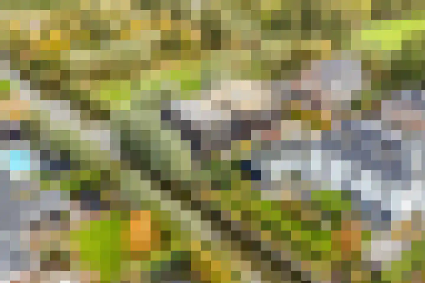 Rietgras 5 Montfoort thumbnail 56