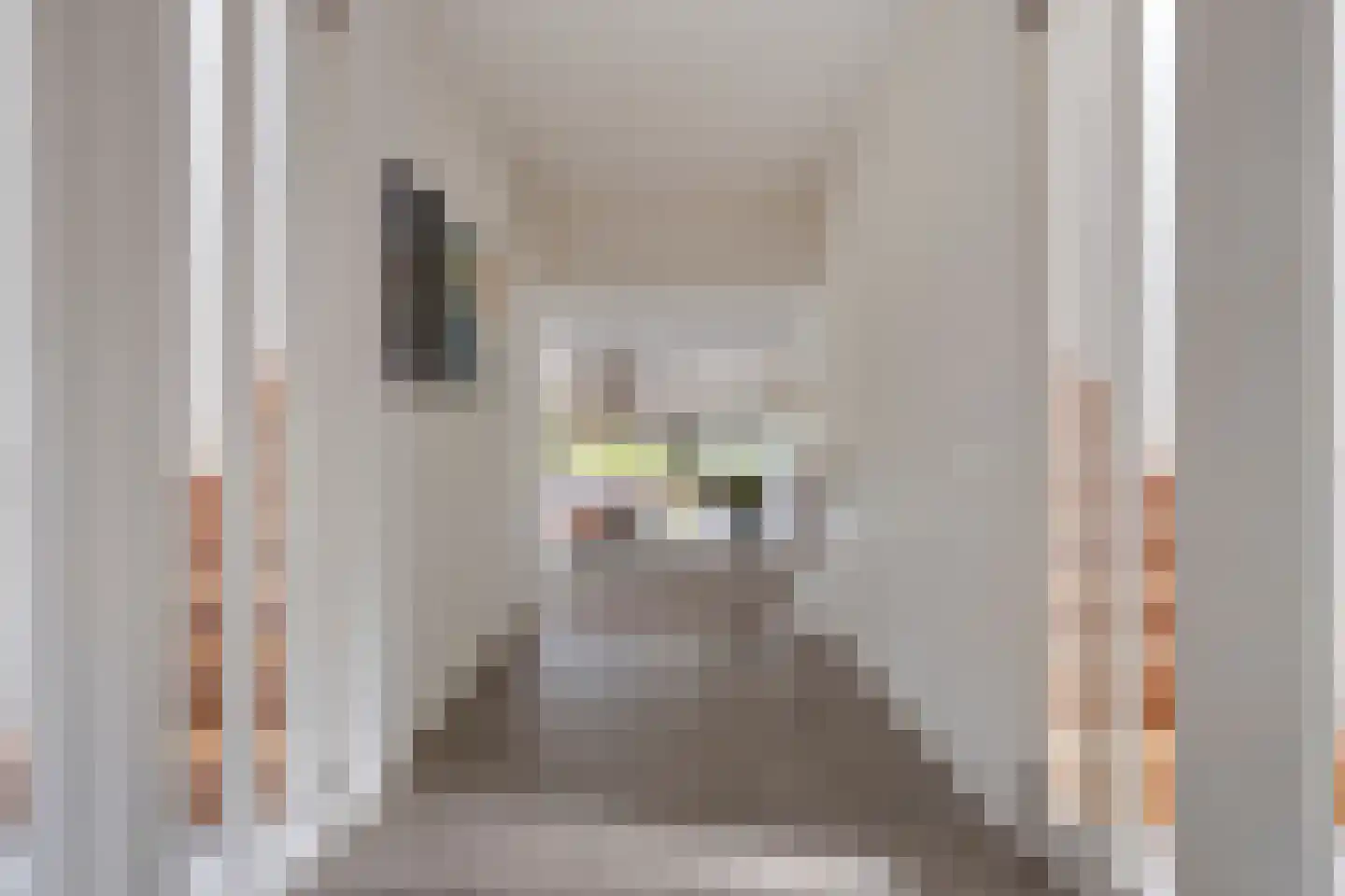 Rietgras 5 Montfoort thumbnail 8