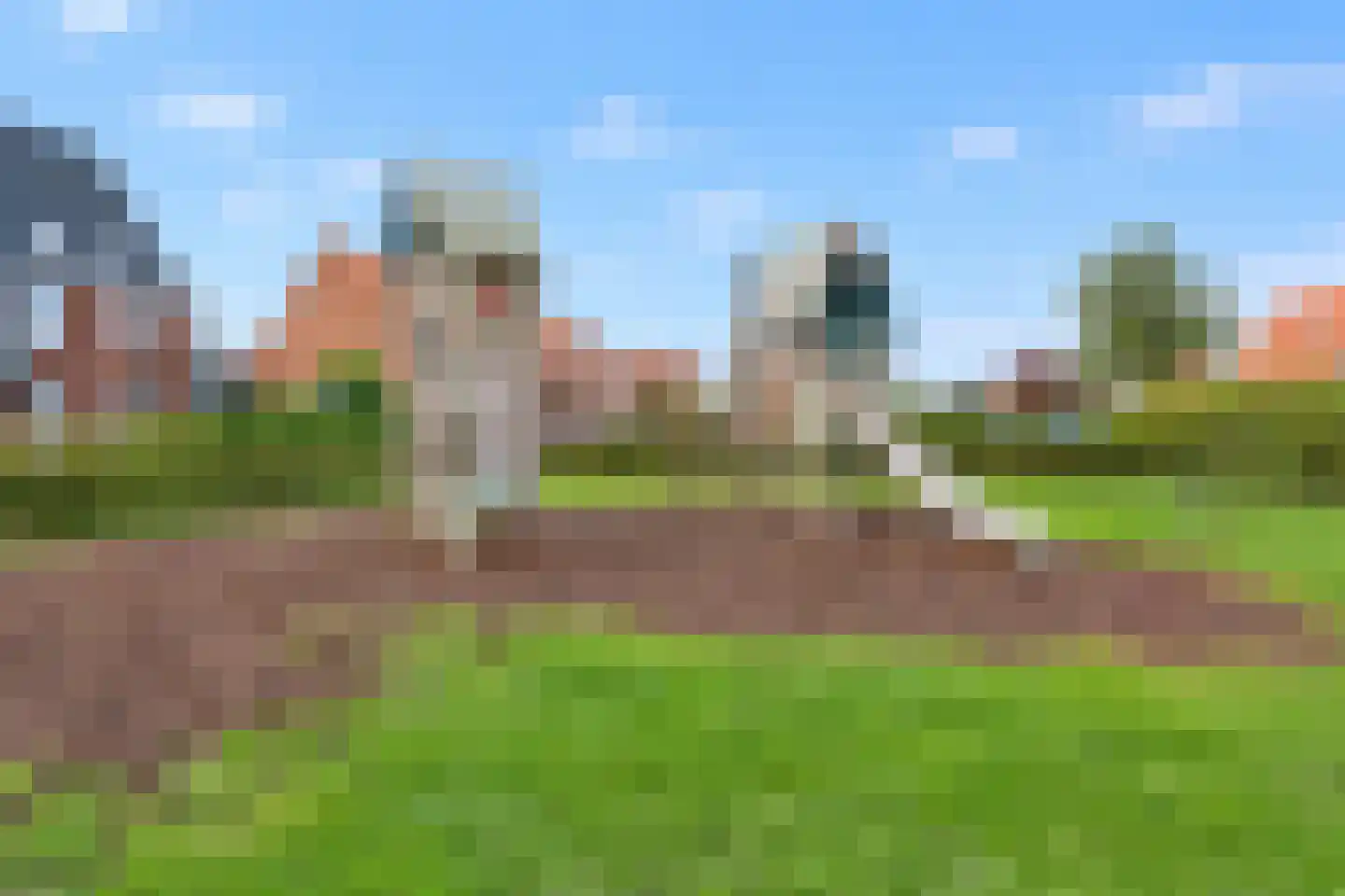 Rietgras 67 Den Haag thumbnail 38