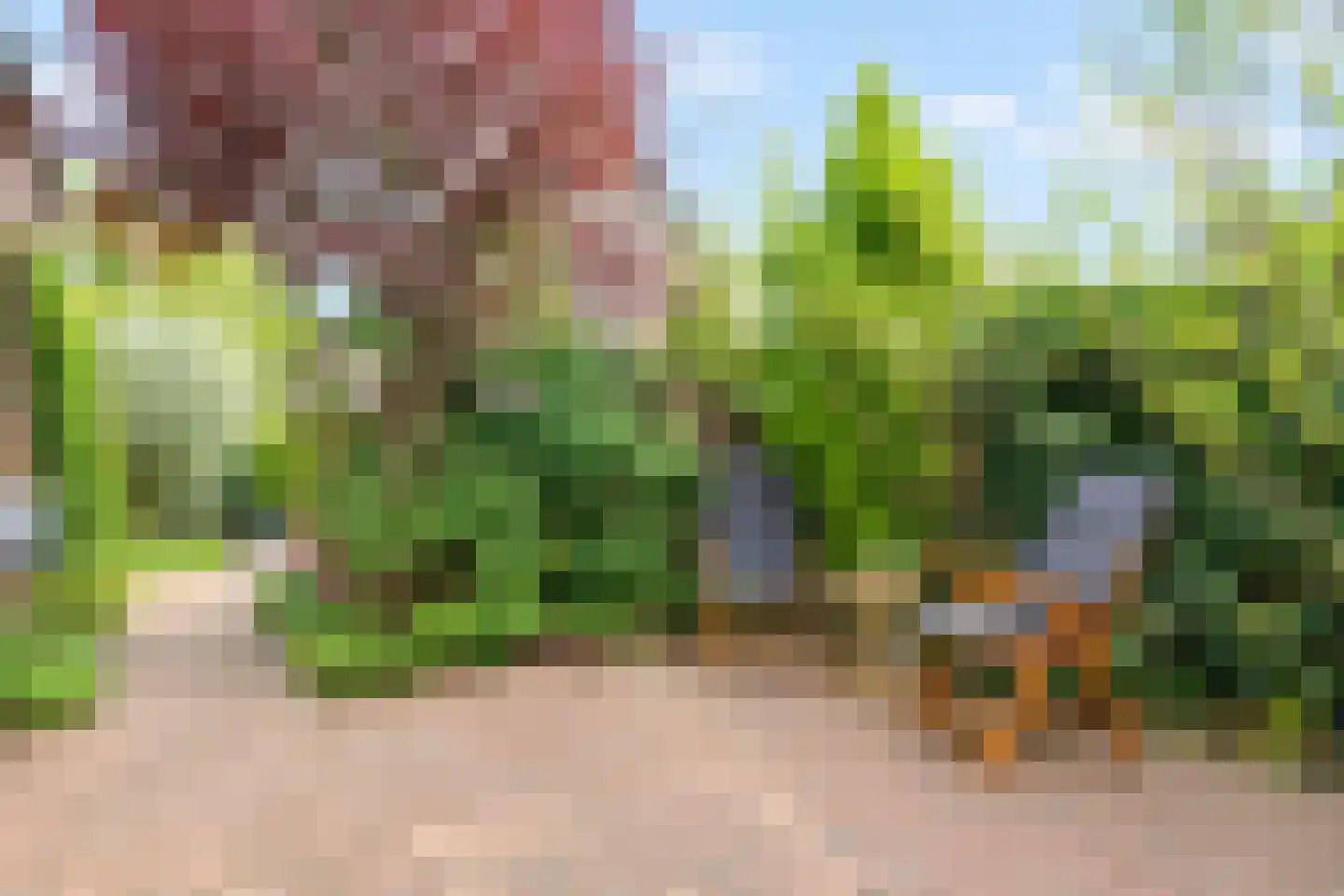 Rietgras 67 Den Haag thumbnail 4