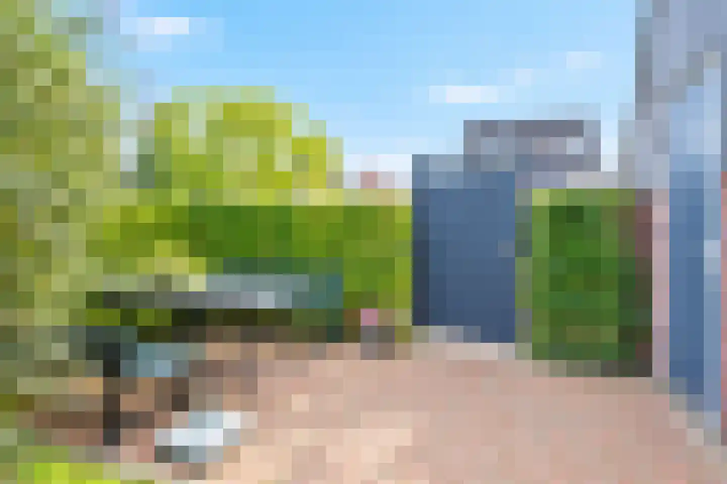 Rietgras 67 Den Haag thumbnail 7