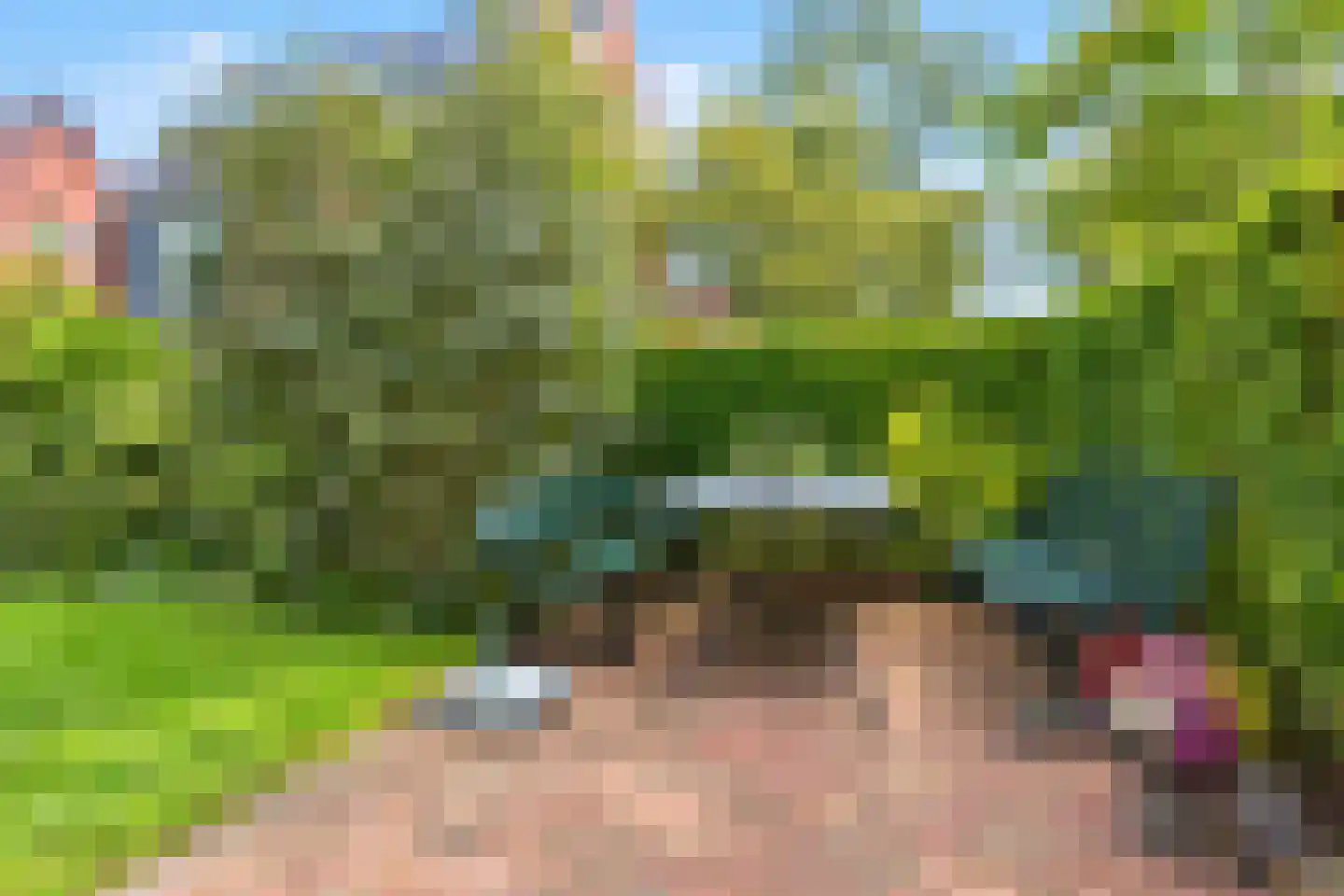 Rietgras 67 Den Haag thumbnail 8