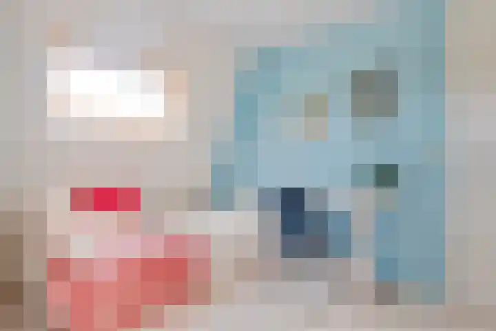 Rietgras 68 Zwolle thumbnail 37