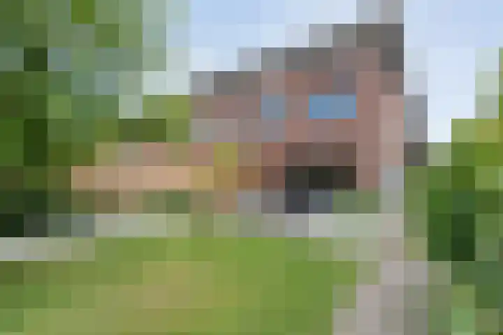 Rietgras 68 Zwolle thumbnail 41