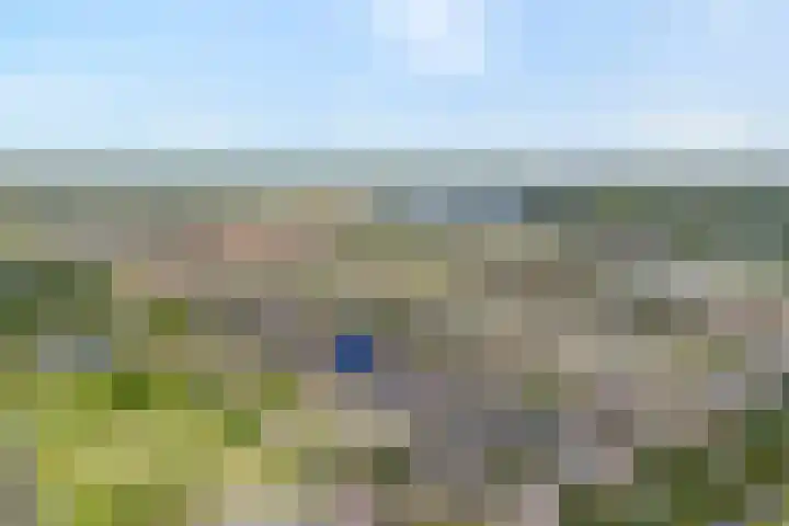 Rietgras 68 Zwolle thumbnail 5