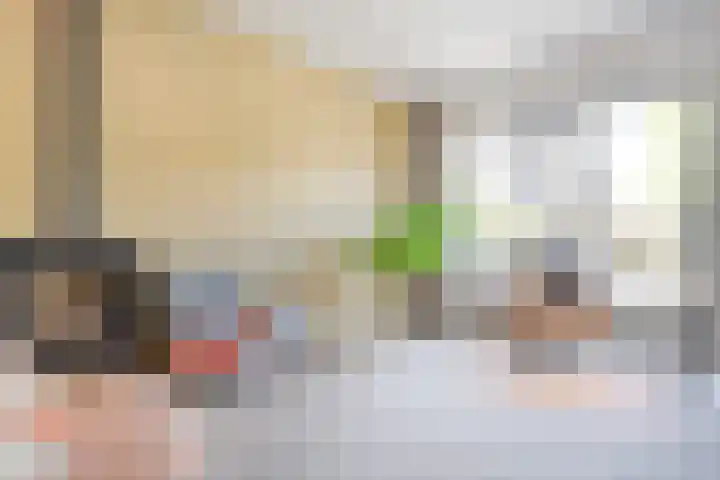 Rietgras 68 Zwolle thumbnail 9
