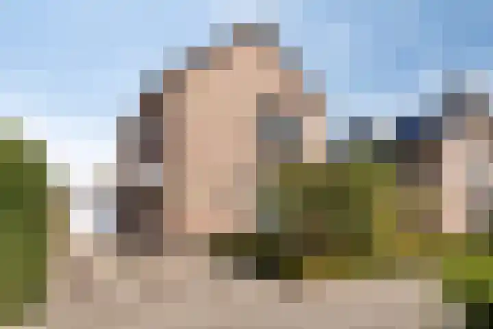 Riethaakpad 1 Hank