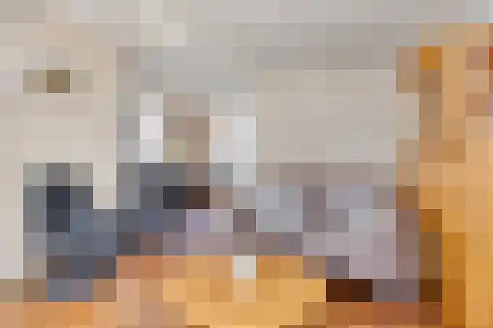 Riethaakpad 1 Hank thumbnail 13