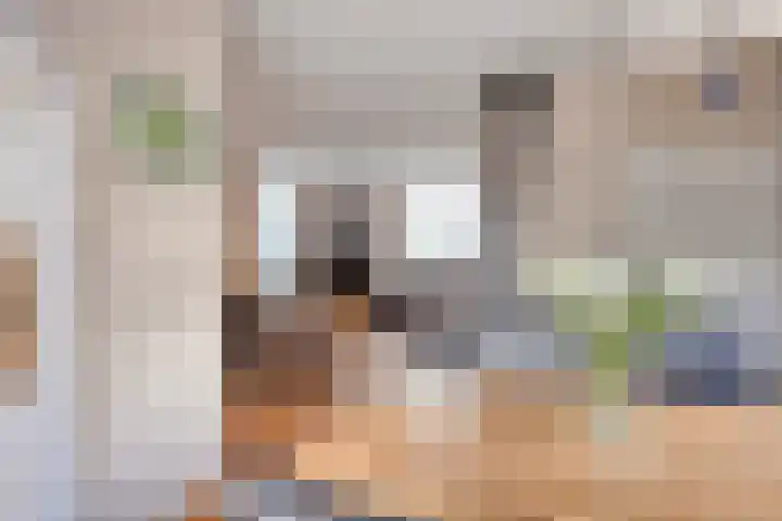 Riethaakpad 1 Hank thumbnail 14