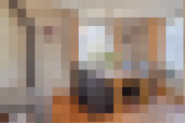 Riethaakpad 1 Hank thumbnail 15
