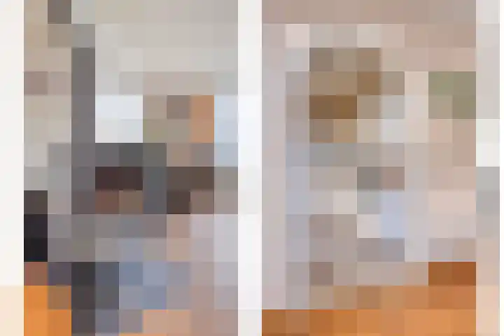 Riethaakpad 1 Hank thumbnail 17