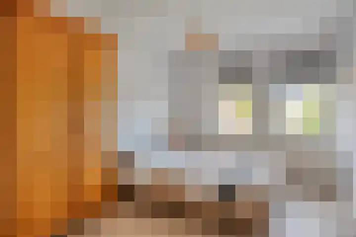 Riethaakpad 1 Hank thumbnail 21