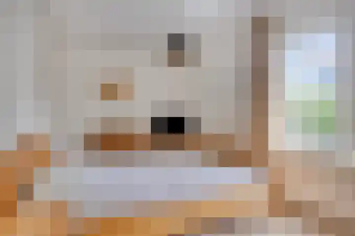 Riethaakpad 1 Hank thumbnail 23