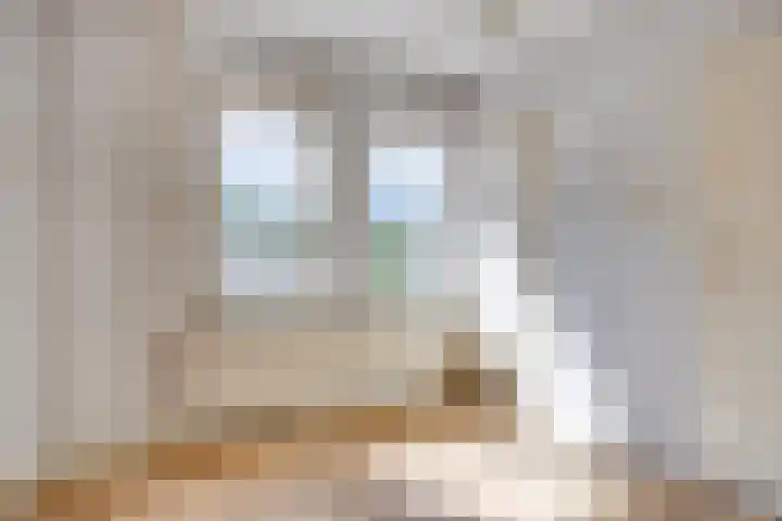 Riethaakpad 1 Hank thumbnail 25