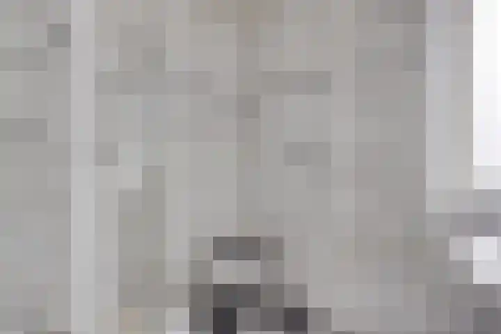 Riethaakpad 1 Hank thumbnail 27