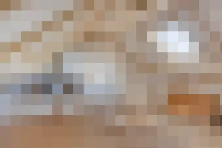 Riethaakpad 1 Hank thumbnail 29