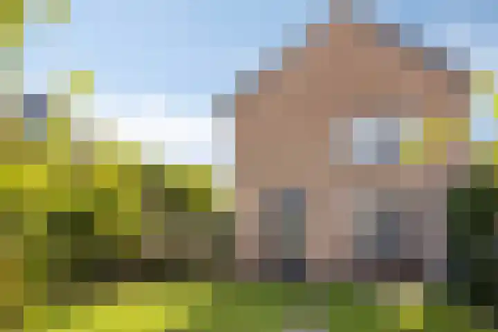 Riethaakpad 1 Hank thumbnail 33