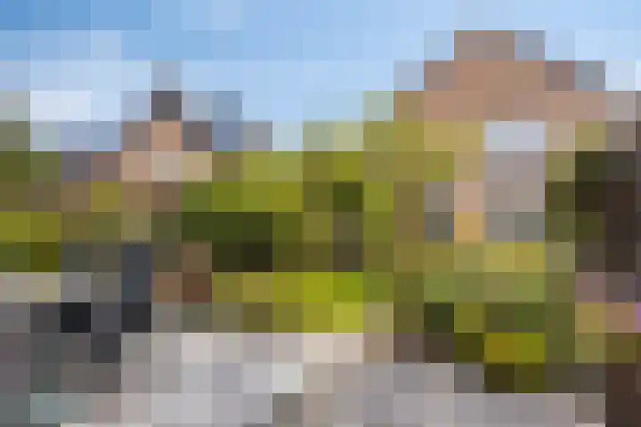 Riethaakpad 1 Hank thumbnail 34