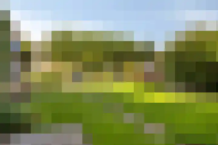 Riethaakpad 1 Hank thumbnail 35
