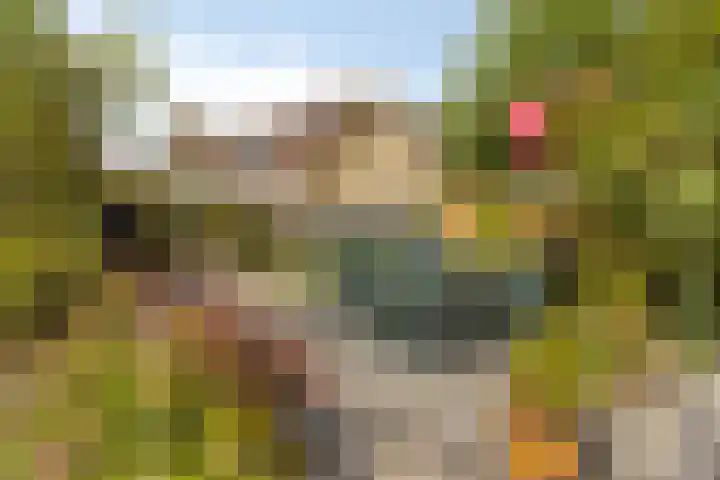 Riethaakpad 1 Hank thumbnail 36