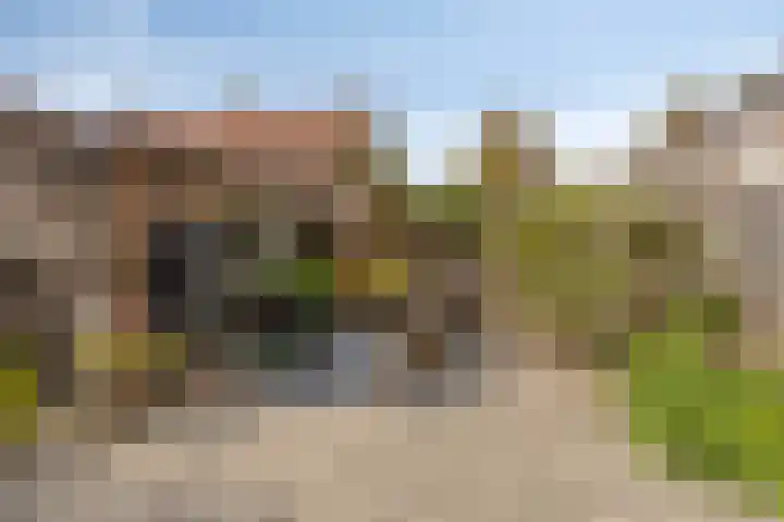 Riethaakpad 1 Hank thumbnail 37