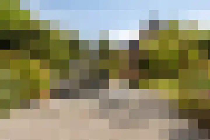 Riethaakpad 1 Hank thumbnail 38