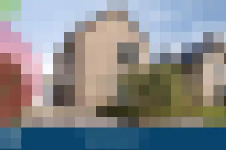 Riethaakpad 1 Hank thumbnail 5