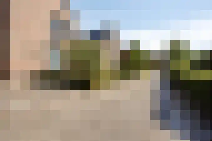 Riethaakpad 1 Hank thumbnail 7