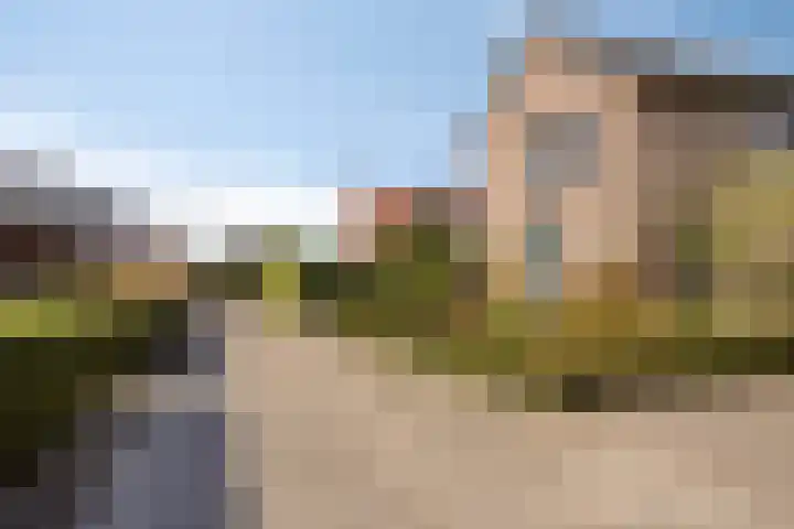 Riethaakpad 1 Hank thumbnail 8