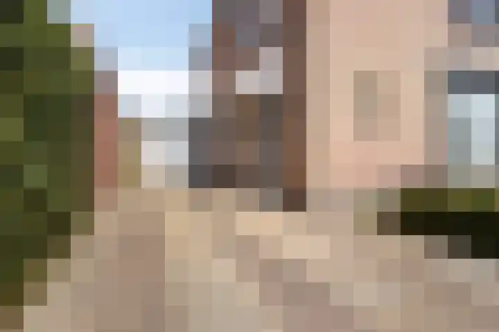 Riethaakpad 1 Hank thumbnail 9